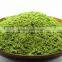 GMP Manufacturer Supply WheatGrass Powder Form India