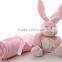 Baby Blanket and Pillow Set / Foldable Blanket Pillow / Baby Plush Blanket
