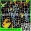 Supply 2016 100% virgin pe UV resistant extruded black oriented netting fruit tree /strawberry anti bird nets 100 % Recyclable