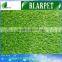 Designer most popular mono grass mixed landscaping use