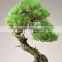 China wholesale bonsai trees artificial banyan for decoration