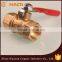 Brass Hose Barb Valve