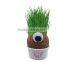 Novelty Fun Kids Plants Doll Grass Head Doll