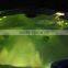 China Wholesale Outdoor Spa Massage Bathtub