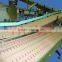 Coca-cola bottle table top conveyor production line