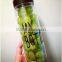 My bottle 2015 Newest Fashion Health Material 500ml Funny Fruit juice plastic