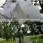 Low price,Discount Inflatable product , PVC Inflatable Cloud for decoration
