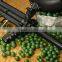 Professional Halal Food Bovine Source Gelatin Paintball For paintball encapsulation machine