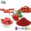 TTN wholesale fruit prices Freeze dried fruit powder