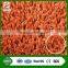 Synthetic colorful plastic decorate green grass