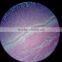indonesia microscope prepared slides