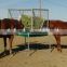 new style cattle horse hay feeder Hanging on the fence
