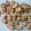 Good Quality Dry Broad Bean/fava grain crop/pulses