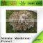 Free Sample Maitak Mushroom Extract Powder