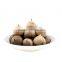 Caramelized Black Garlic, Maillard-reaction Garlic