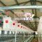 Pig Breeding Equipment/pig farming equipment/equipment for pig/piglet equipment