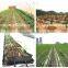 Agriculture water irrigation system