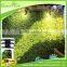 vertical garden green wall planter for home design decor