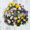 SOL decorative hanging flower vase plastic planter plastic hanging basket