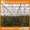 Heracles trade assurance venlo greenhouse