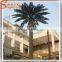 Wholesale plastic all kinds of outdoor fake artificial date palm trees