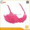 HSZ-58048 Latest Fashion Underwear Lady Custom Lingerie With Lace Very Sexy Push Up Bra