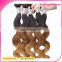 Off Sale Top Unprocessed Brazilian 5A Deep Wave Ombre Human Hair