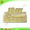 Professional manufacturer customized cloisonne hard enamel pin badges