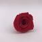 Wholesale3-4cm elegant real touch preserved rose flower