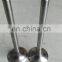 vehicle parts Cummins engine M11 exhaust valve 3800637