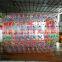 Hot sale!!! High quality PVC inflatable water roller ball inflatable water toys for kids and adult