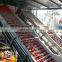 Juice Production Line Processing Machine High Output Automatic Juice Filling Machine