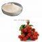 HOT SELLING INSTANT LYCHEE JUICE POWDER FROM VIET  NAM