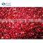 Sinocharm 2021 IQF Frozen Lingonberry with BRC A Approved
