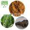 High Quality Black Cohosh Extract Cimicifuga Racemosa Extract
