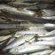 Frozen Sardine from Chinese Manufacture