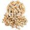 Hot sales high quality dried whole type blanched peanut white peanuts groundnut kernel