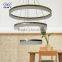 Fashion Design Modern Indoor Pendant Lamp/Indoor Pendant Lights
