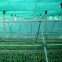 HDPE Monofilament Green Shade Net 50% 75% Shading Plants Windbreaker Shade Cloth