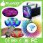 24pcs 1w RGBW/A 4in1 wireless dmx multi-chanel for optional light5