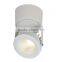 Dimmable Adjustable 13W COB LED Ceiling Surface Spot Light with HEP driver