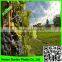 100% original raw material with UV additives bird netting heavy duty hdpe plastic mesh netting garden protection net