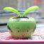 creative apple flower solar powered car decoration