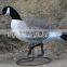 high quality plastic canada hunting goose decoy