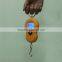 Good Quality Digital Hanging Weighing Scale