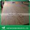BLUE HORSE EMBOSSED LARCH PLYWOOD 4.5mm,7.5mm 11.5mm                        
                                                Quality Choice