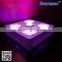 Newly Released Geyapex SOLO 800w LED Plant Grow Lights for 420/weed/hemp growing