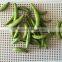 Natural Vaccum fried VF Dried Sugar Snap Peas Crisps