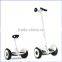 2016 new product smart mini electric scooter extension pole hand staff best selling