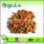 food agent wanted canned green peas and carrots 400g